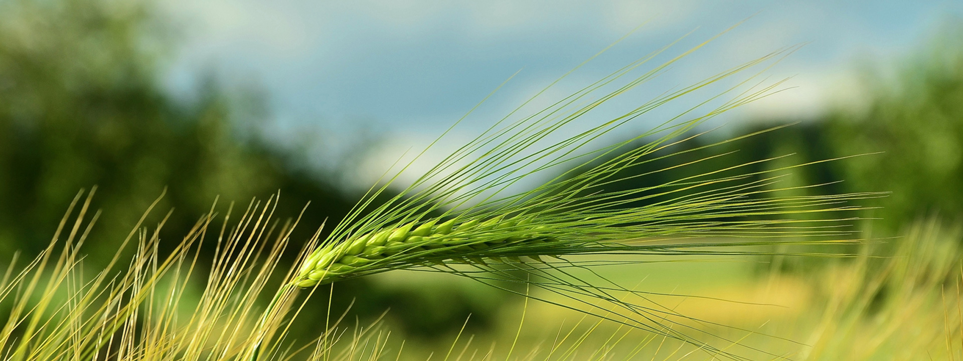 大漢振動篩設(shè)備型號齊全，支持免費(fèi)定制